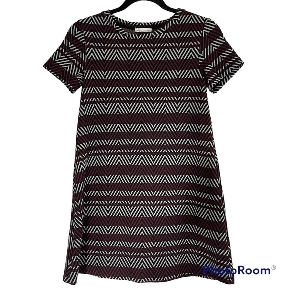 Zara Trafaluc Fall Winter Collection Dress
